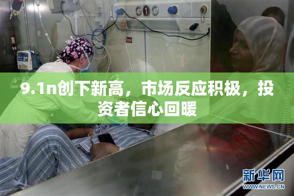 9.1n创下新高，市场反应积极，投资者信心回暖