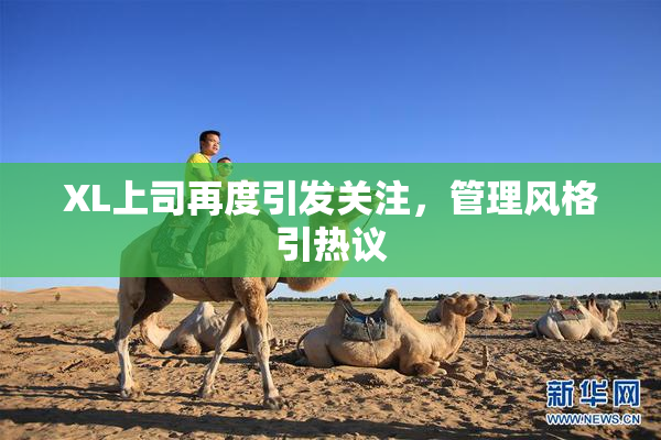 XL上司再度引发关注，管理风格引热议