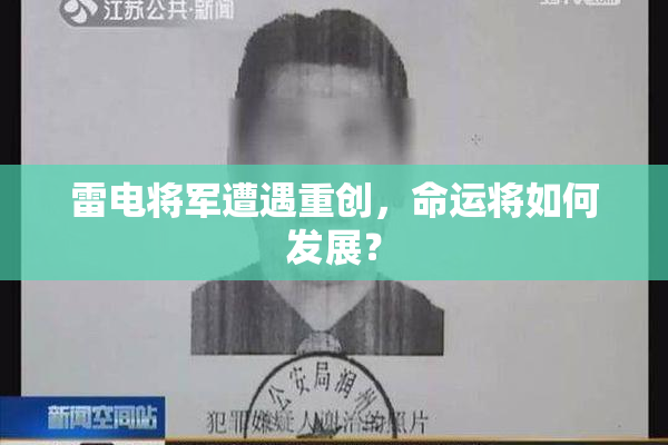 雷电将军遭遇重创，命运将如何发展？