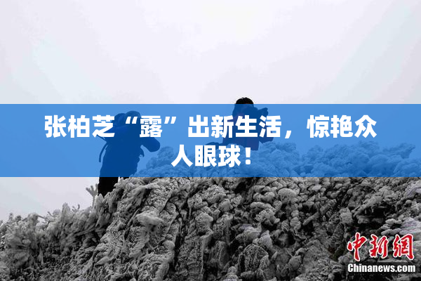 张柏芝“露”出新生活，惊艳众人眼球！