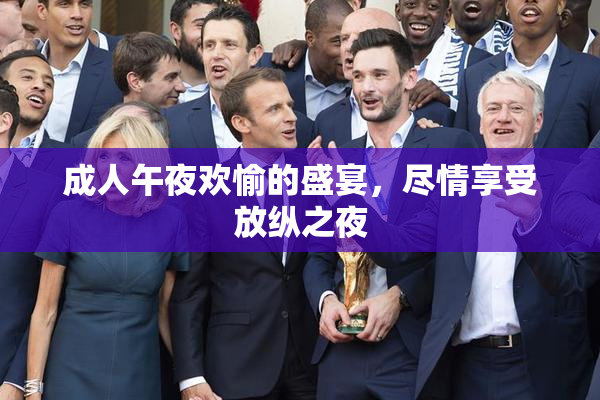 成人午夜欢愉的盛宴，尽情享受放纵之夜