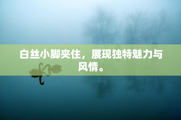 白丝小脚夹住，展现独特魅力与风情。