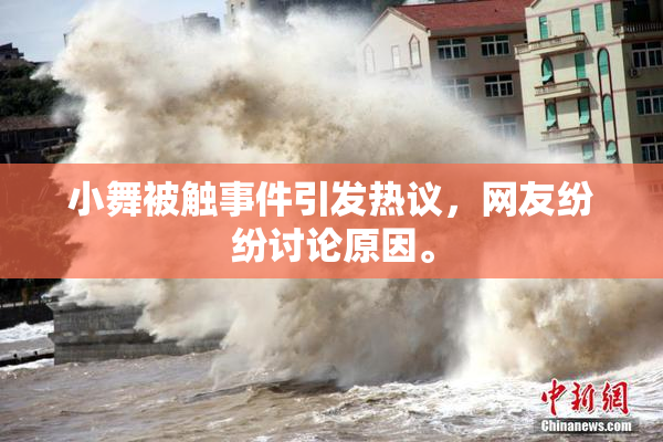 小舞被触事件引发热议，网友纷纷讨论原因。