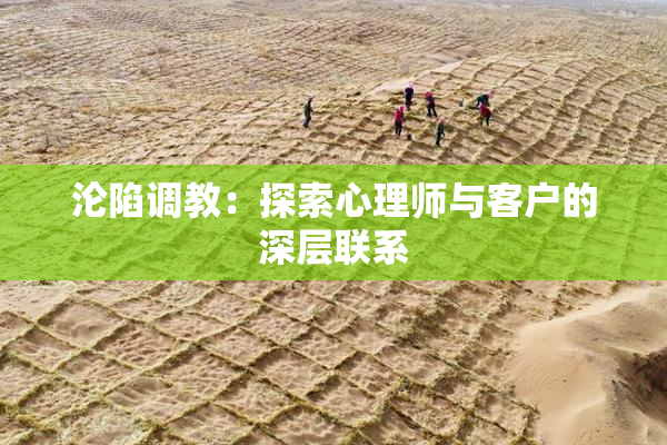 沦陷调教：探索心理师与客户的深层联系
