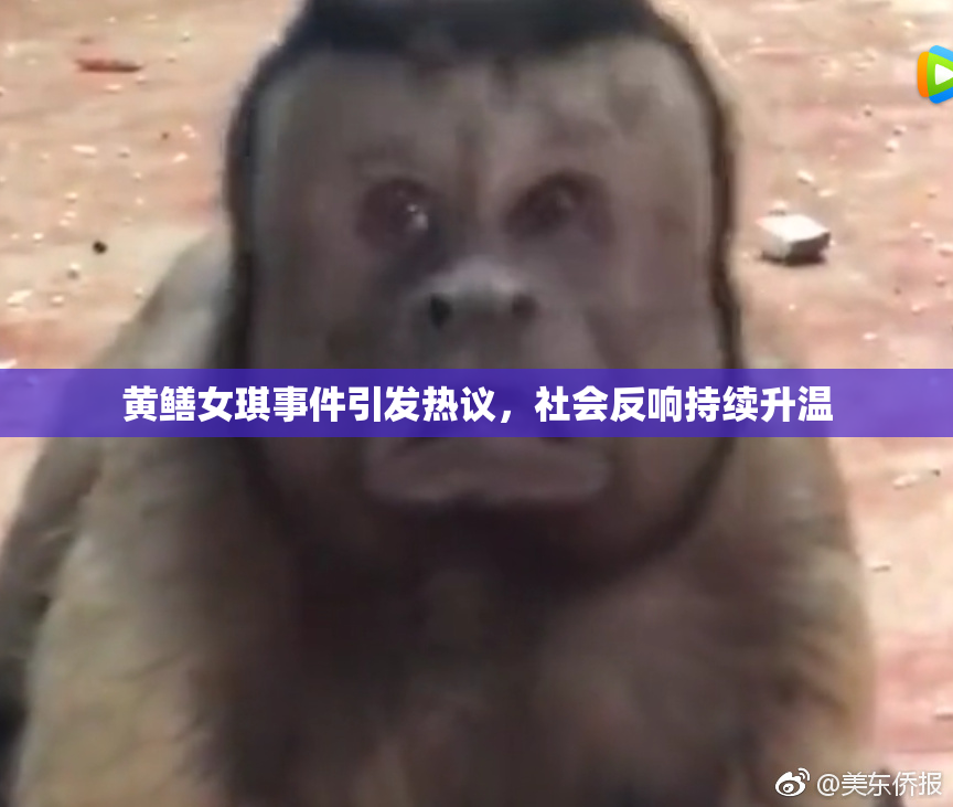 黄鳝女琪事件引发热议，社会反响持续升温