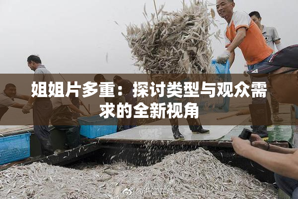 姐姐片多重：探讨类型与观众需求的全新视角