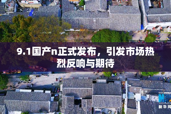 9.1国产n正式发布，引发市场热烈反响与期待