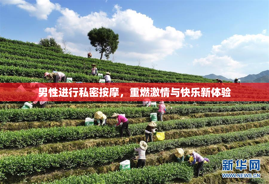 男性进行私密按摩，重燃激情与快乐新体验