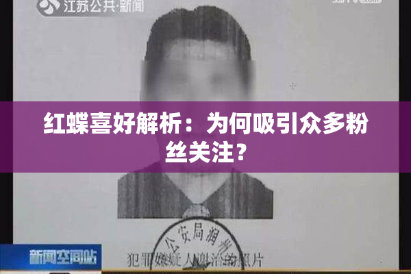 红蝶喜好解析：为何吸引众多粉丝关注？
