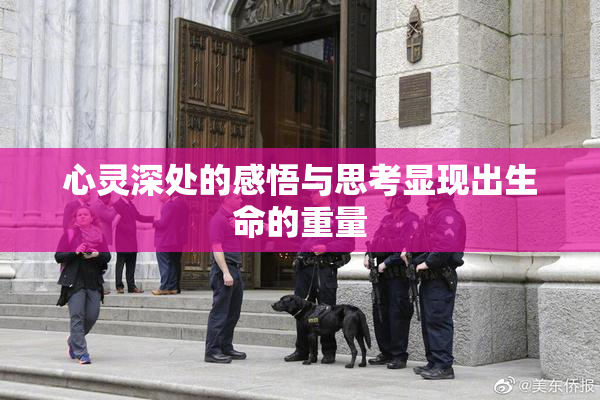 心灵深处的感悟与思考显现出生命的重量