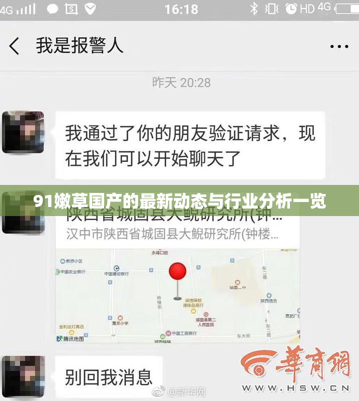 91嫩草国产的最新动态与行业分析一览