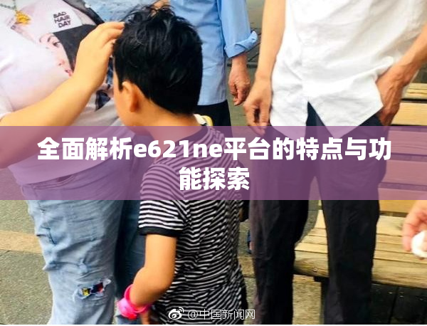 全面解析e621ne平台的特点与功能探索