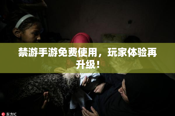 禁游手游免费使用，玩家体验再升级！