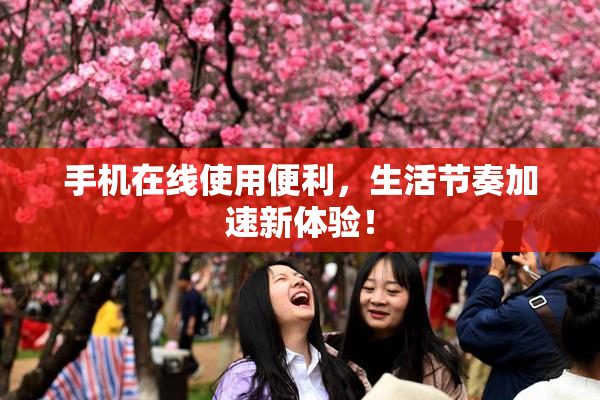 手机在线使用便利，生活节奏加速新体验！