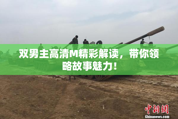 双男主高清M精彩解读，带你领略故事魅力！