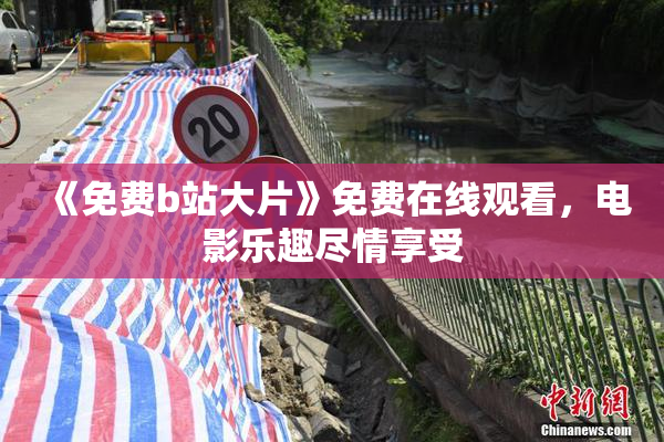 《免费b站大片》免费在线观看，电影乐趣尽情享受