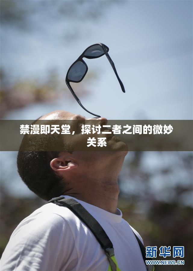 禁漫即天堂，探讨二者之间的微妙关系