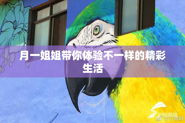 月一姐姐带你体验不一样的精彩生活