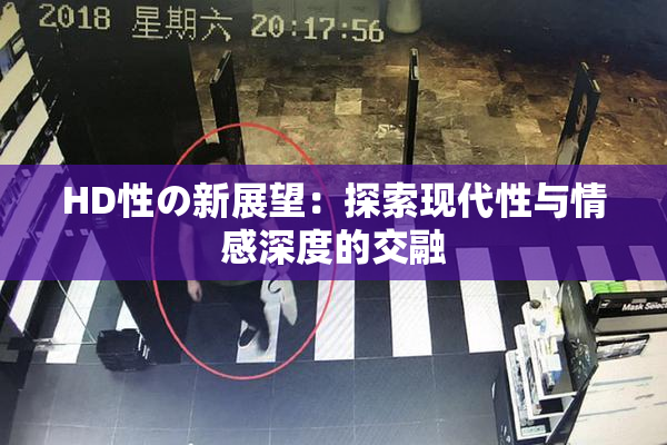 HD性の新展望：探索现代性与情感深度的交融