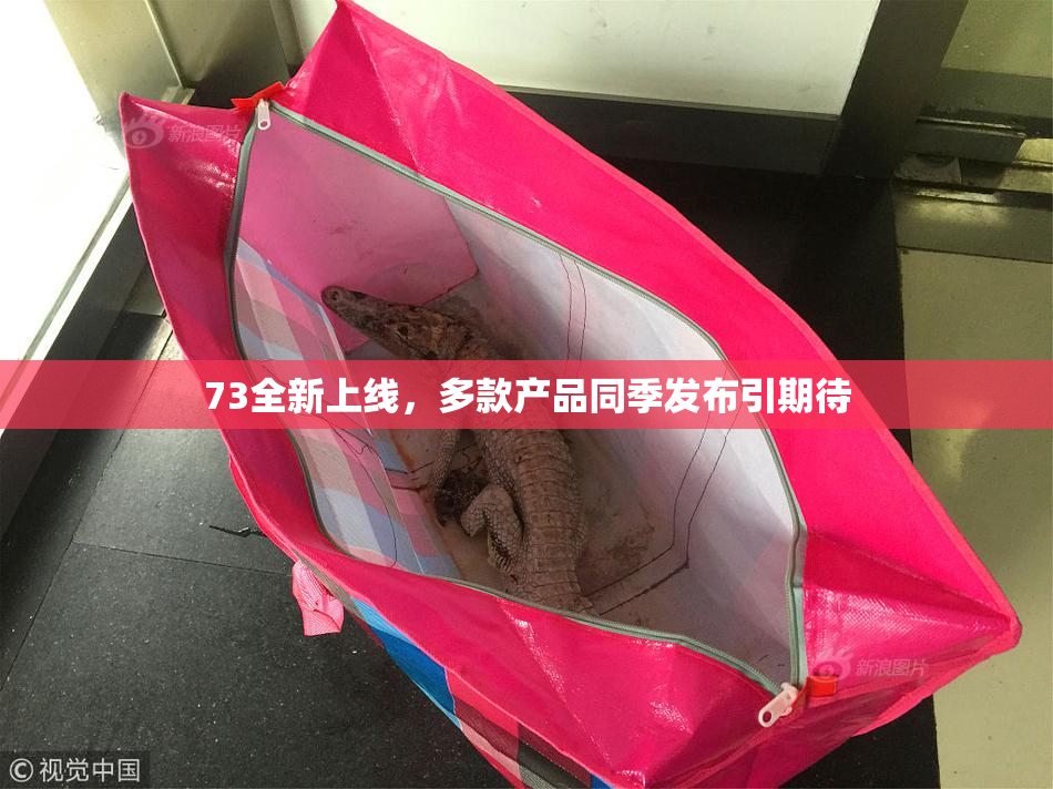 73全新上线，多款产品同季发布引期待