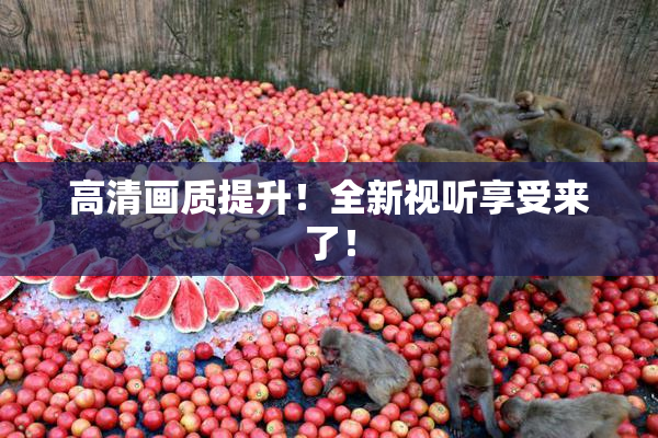 高清画质提升！全新视听享受来了！