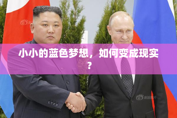 小小的蓝色梦想，如何变成现实？