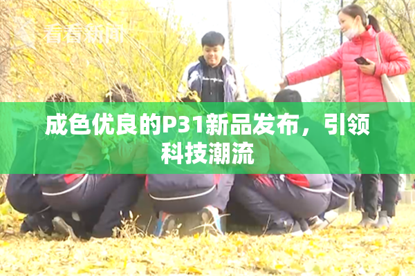 成色优良的P31新品发布，引领科技潮流