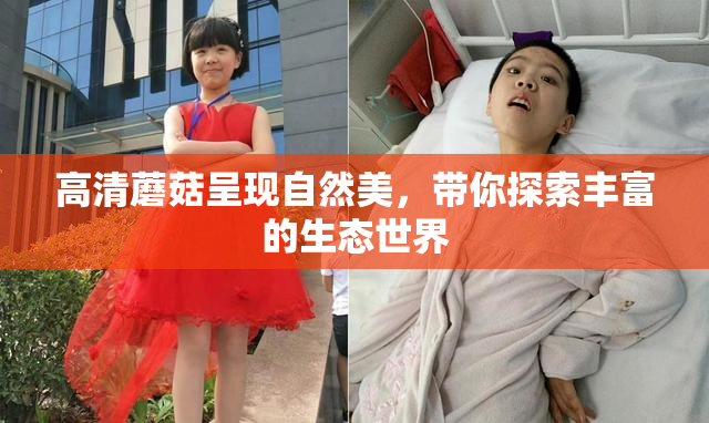 高清蘑菇呈现自然美，带你探索丰富的生态世界