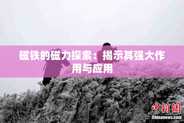 磁铁的磁力探索：揭示其强大作用与应用