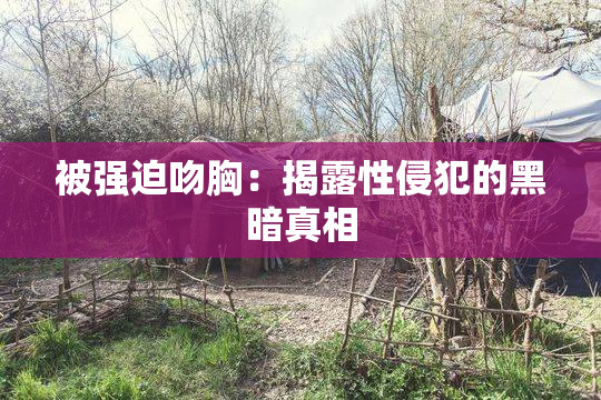 被强迫吻胸：揭露性侵犯的黑暗真相