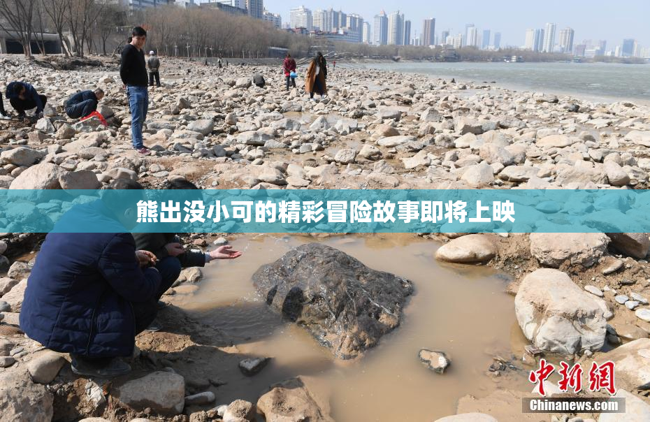 熊出没小可的精彩冒险故事即将上映