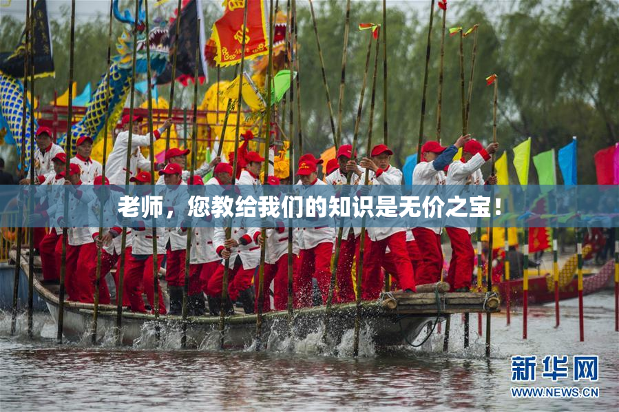 老师，您教给我们的知识是无价之宝！