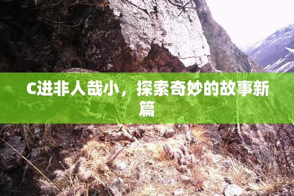 C进非人哉小，探索奇妙的故事新篇