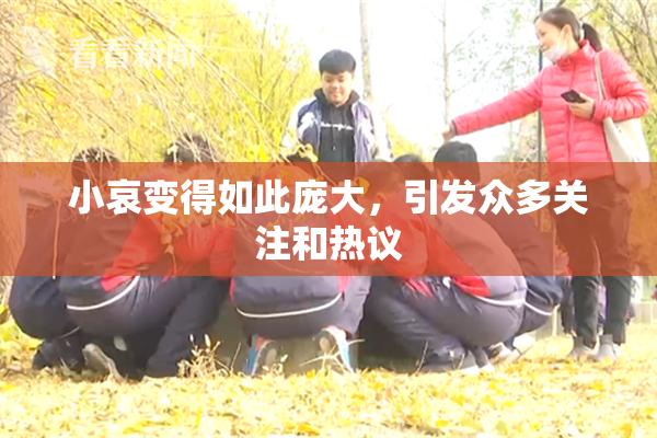小哀变得如此庞大，引发众多关注和热议
