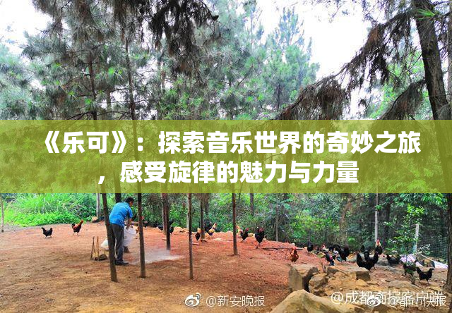 《乐可》：探索音乐世界的奇妙之旅，感受旋律的魅力与力量