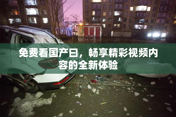 免费看国产曰，畅享精彩视频内容的全新体验