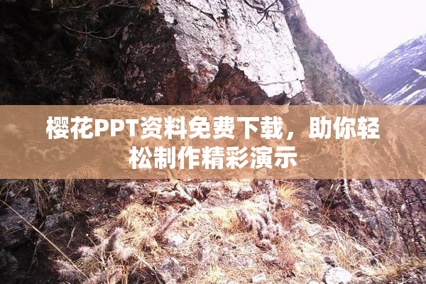 樱花PPT资料免费下载，助你轻松制作精彩演示