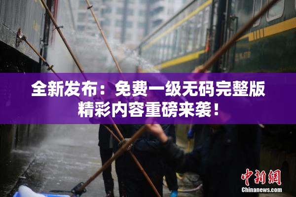 全新发布：免费一级无码完整版精彩内容重磅来袭！