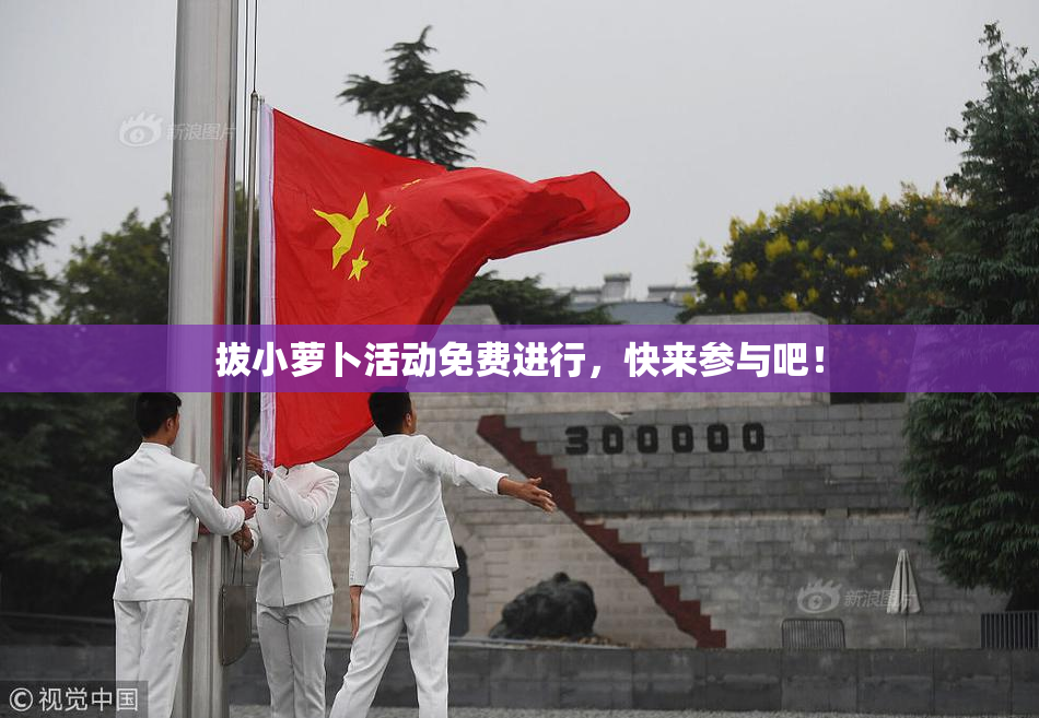 拔小萝卜活动免费进行，快来参与吧！