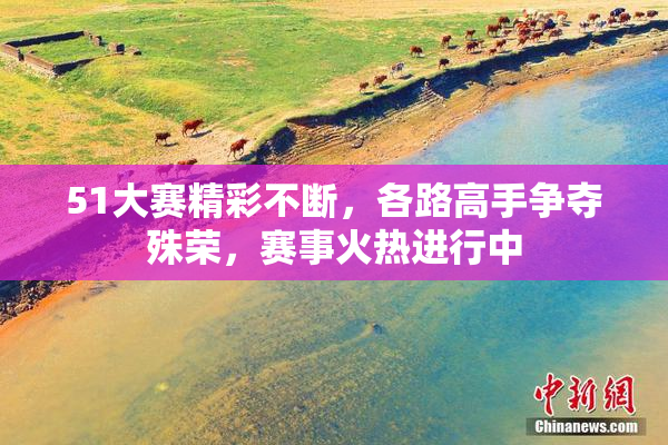 51大赛精彩不断，各路高手争夺殊荣，赛事火热进行中