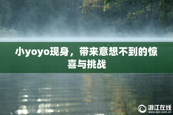 小yoyo现身，带来意想不到的惊喜与挑战