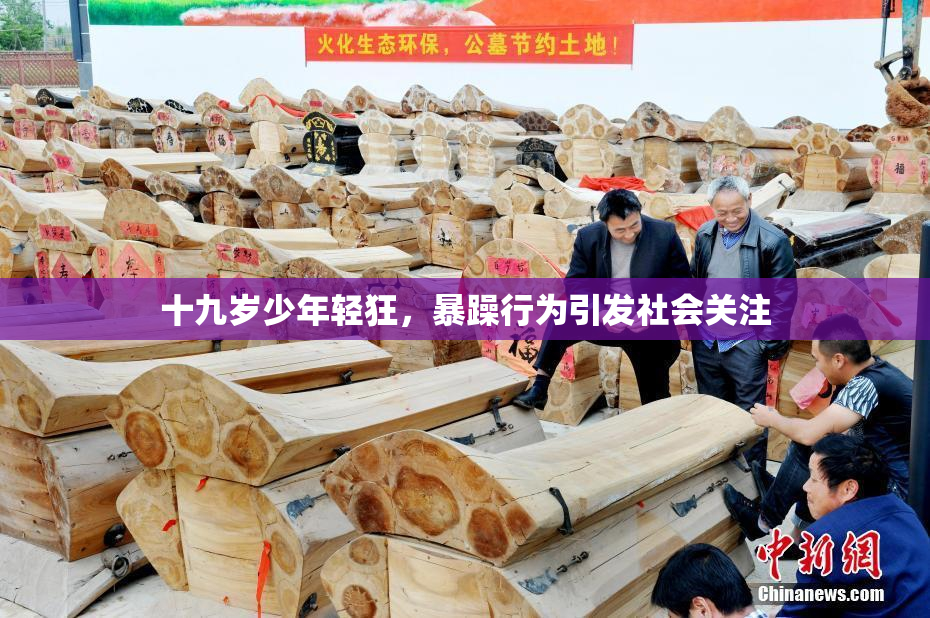 十九岁少年轻狂，暴躁行为引发社会关注