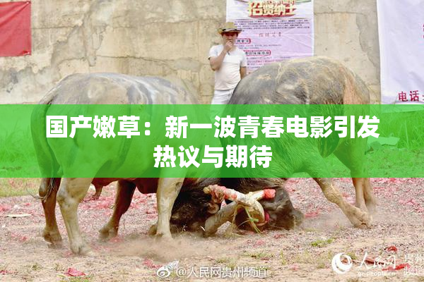 国产嫩草：新一波青春电影引发热议与期待