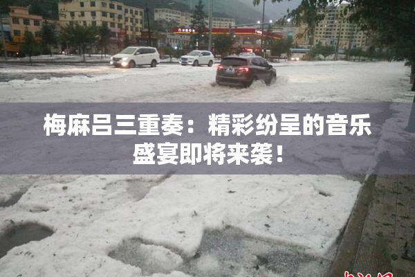 梅麻吕三重奏：精彩纷呈的音乐盛宴即将来袭！