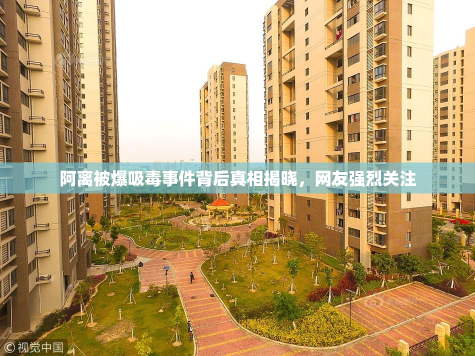 阿离被爆吸毒事件背后真相揭晓，网友强烈关注