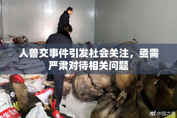 人兽交事件引发社会关注，亟需严肃对待相关问题