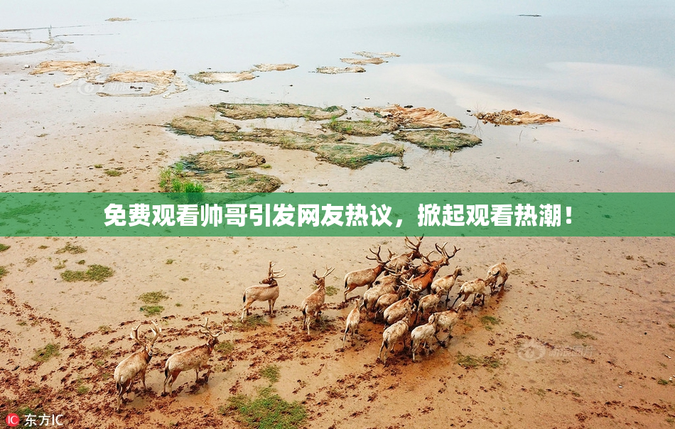 免费观看帅哥引发网友热议，掀起观看热潮！