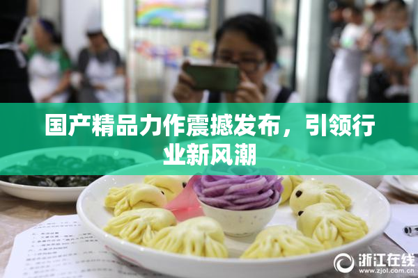 国产精品力作震撼发布，引领行业新风潮