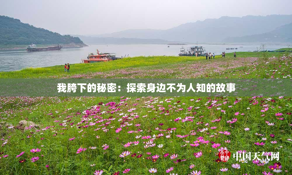 我胯下的秘密：探索身边不为人知的故事