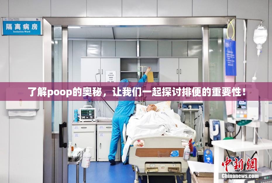 了解poop的奥秘，让我们一起探讨排便的重要性！